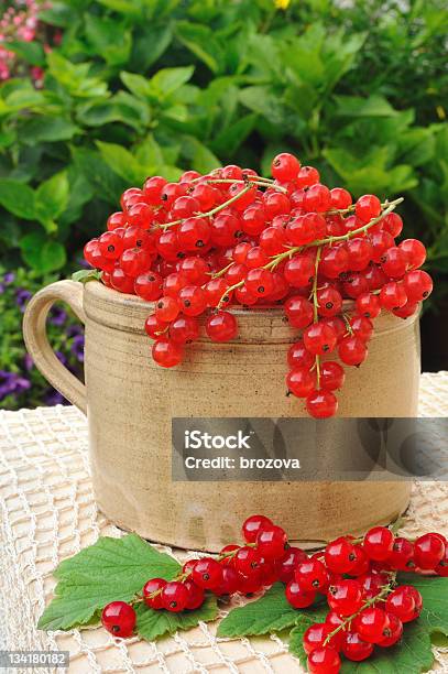 Keramik Tasse Voller Frische Rote Johannisbeere Beeren Stockfoto und mehr Bilder von Garkochen