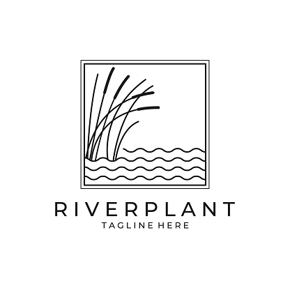 river plant cattail icon vector symbol illustration design, nature plant