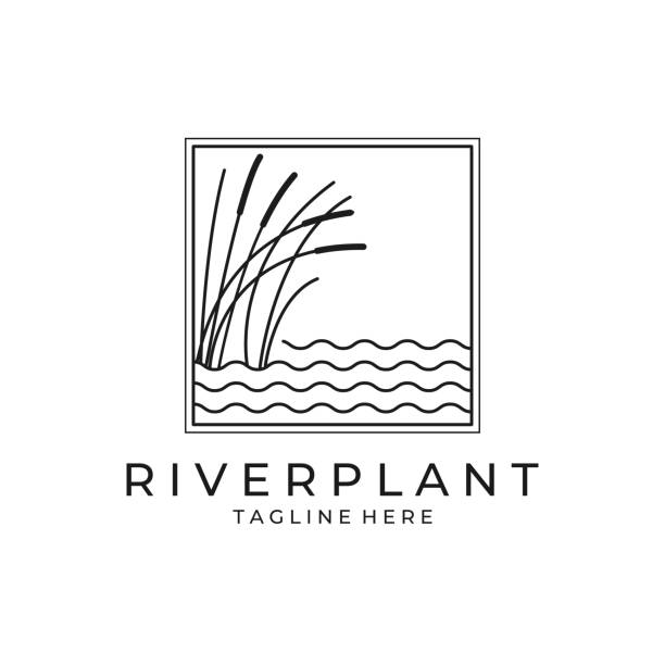 river plant cattail icon vector symbol illustration design, nature plant river plant cattail icon vector symbol illustration design, nature plant cattail stock illustrations