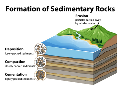 Formation of sedimentary rocks  illustration