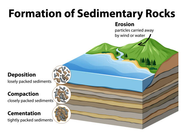 Sedimentary Rock Diagram - images, stock photos and vectors
