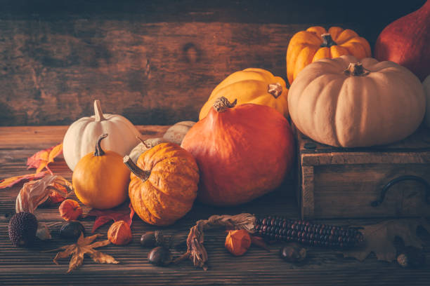 feliz acción de gracias - naturaleza muerta con diferentes calabazas y hojas de otoño - squash pumpkin orange japanese fall foliage fotografías e imágenes de stock