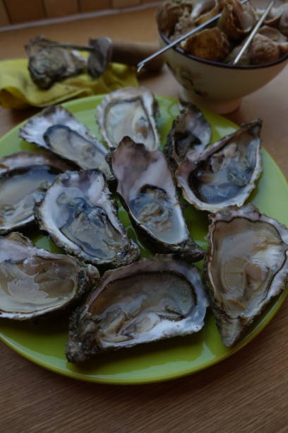 istock Open oysters and Whelks cooked in spicy water 1341804223