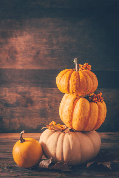 幸せな感謝祭 - 異なるカボチャと紅葉との静物 - squash pumpkin orange japanese fall foliage ストックフォトと画像