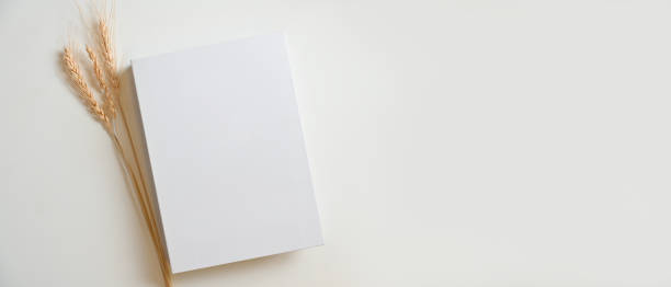 istock Blank white book cover with dry grass and an empty space on a white background 1341804471