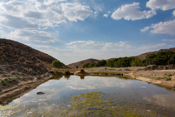 istock Abandoned public fish pool in the desert 1341805616