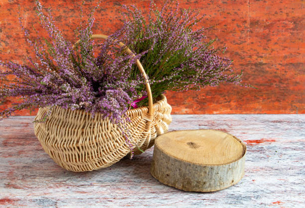 istock Basket with flowers on a red and white background, lilac heather, copy space 1341806485