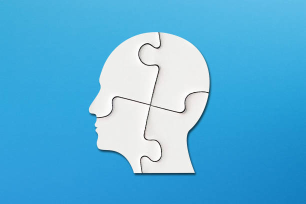 Four jigsaw pieces on red background.
