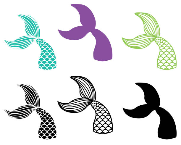 illustrations, cliparts, dessins animés et icônes de ensemble de couleurs et de silhouettes de la queue de sirène - queue