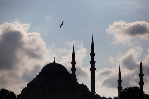 istock historical suleymaniye mosque silhouette view 1341812776