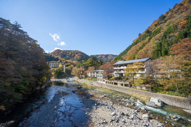 istock Autumn maple leaves, Japanese nature scene 1341813226