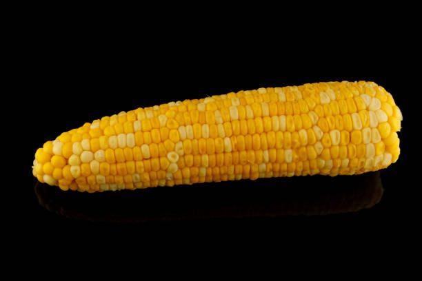 istock Head of boiled corn black background 1341814675