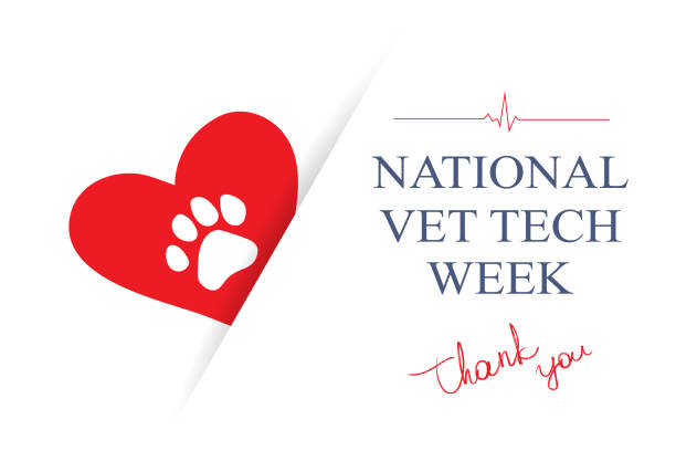 National Vet Tech Week medical concept. Red heart, dog paw ant text Thank You on white, vector illustration. Vet Tech Appreciation Week annual event. professional thank you stock illustrations