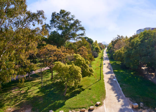 istock Valencia Turia park gardens view 1341819159