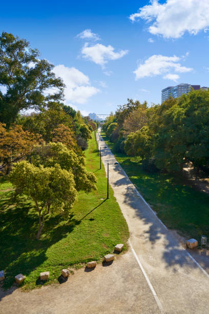 istock Valencia Turia park gardens view 1341819182