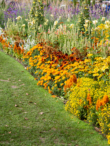 A bright flowerbed and a green lawn.