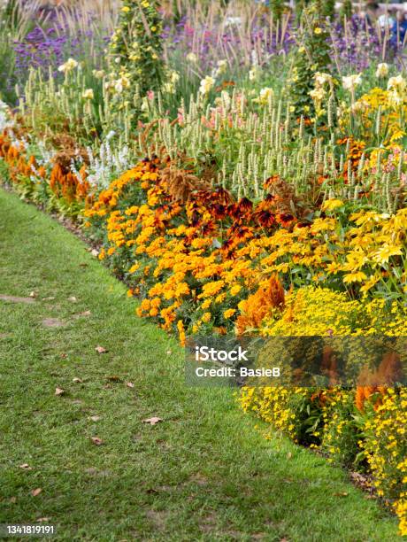 Away Through The Beautiful Flower Garden Stock Photo - Download Image Now - Yard - Grounds, Autumn, Ornamental Garden