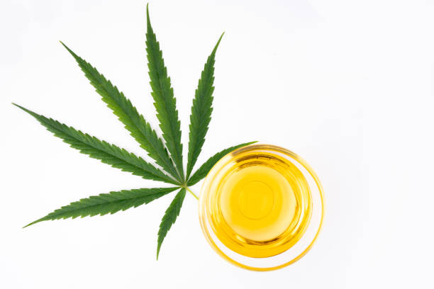 istock Bowl with hemp oil, leaf on white background, top view 1341820792