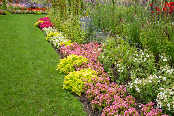istock Away through the beautiful flower garden. 1341821097