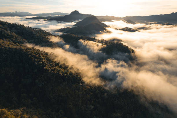 istock mountains and morning fog in tropical forest 1341821995