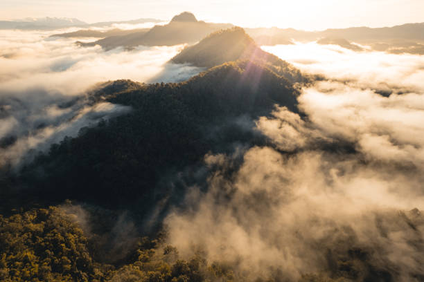 istock mountains and morning fog in tropical forest 1341822023