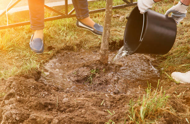istock Young people in work uniform with shovel plant tree sapling in ground 1341823768