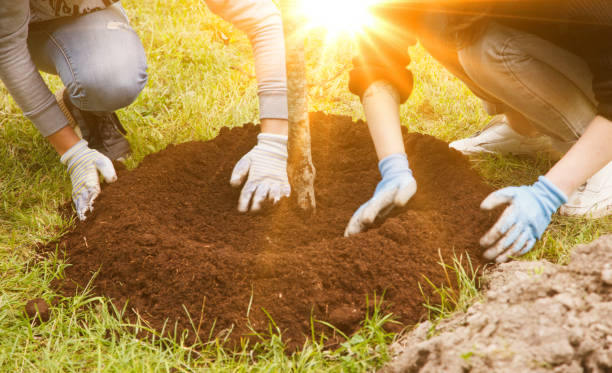 istock Young people in work uniform with shovel plant tree sapling in ground 1341823770
