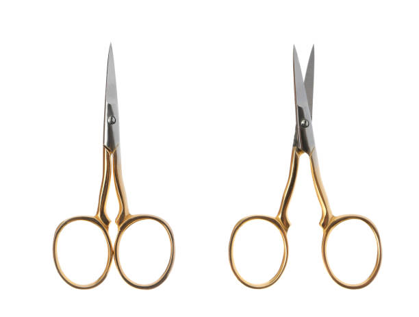 istock Manicure scissors on white background, top view 1341825398