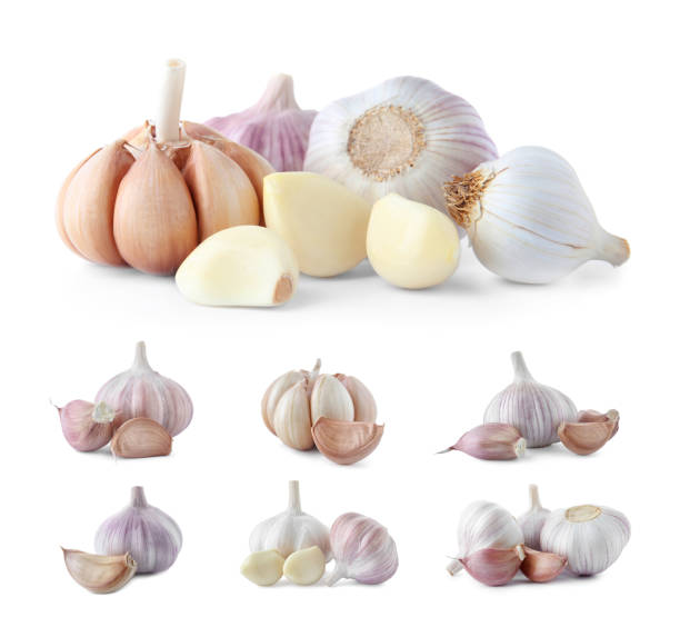 istock Set of fresh garlic on white background 1341826185