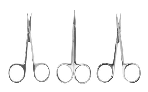istock Set of manicure scissors on white background, top view 1341827537