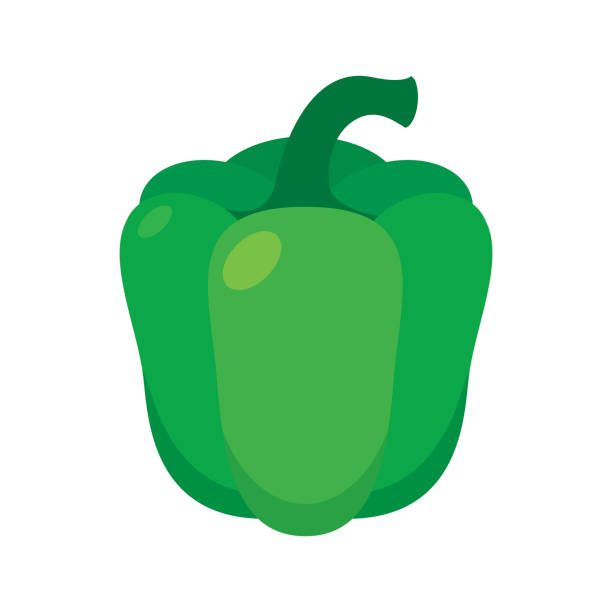 großer grüner paprika-icon-vektor - vegetable bell pepper green bell pepper pepper stock-grafiken, -clipart, -cartoons und -symbole