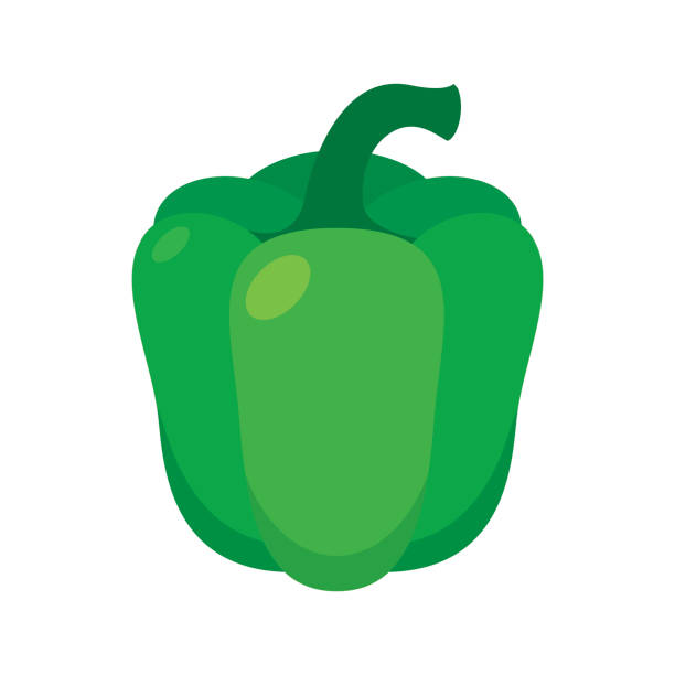 ilustrações, clipart, desenhos animados e ícones de grande vetor de ícone de pimentão verde - green bell pepper illustrations