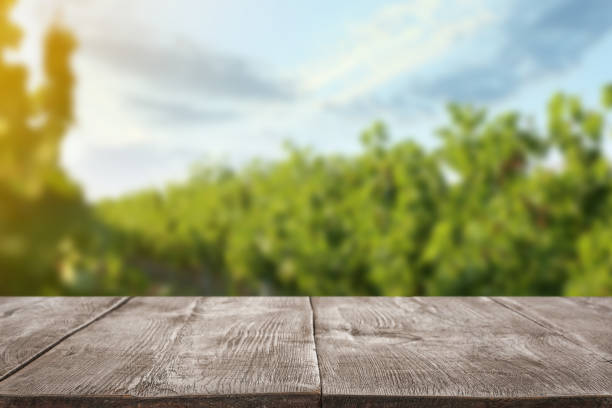 istock Empty wooden surface and blurred view of vineyard rows with fresh grapes. Space for text 1341827859
