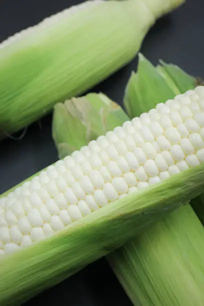 Photo of white corn on black background