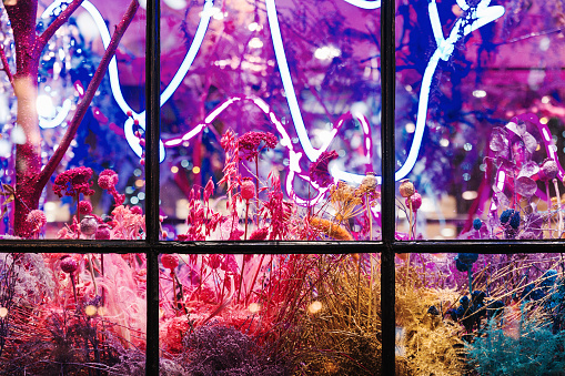 Colorful flowers and neon lights in shop window during Christmas time