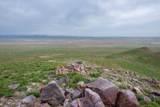 Green steppe in spring time with cloudy sky background. Countryside landscape. Nature landscape. Nature of Kazakhstan.