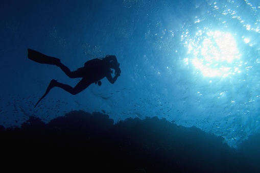 Life-giving sunlight underwater. Sun beams shinning underwater and Scuba diver silhouette in the blue water