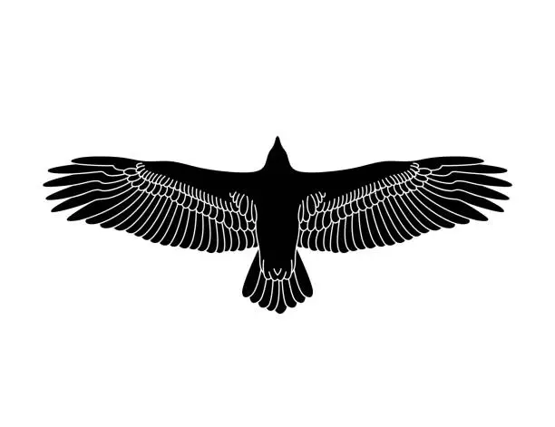 Vector illustration of Flying eagle stencil. Bird silhouette.