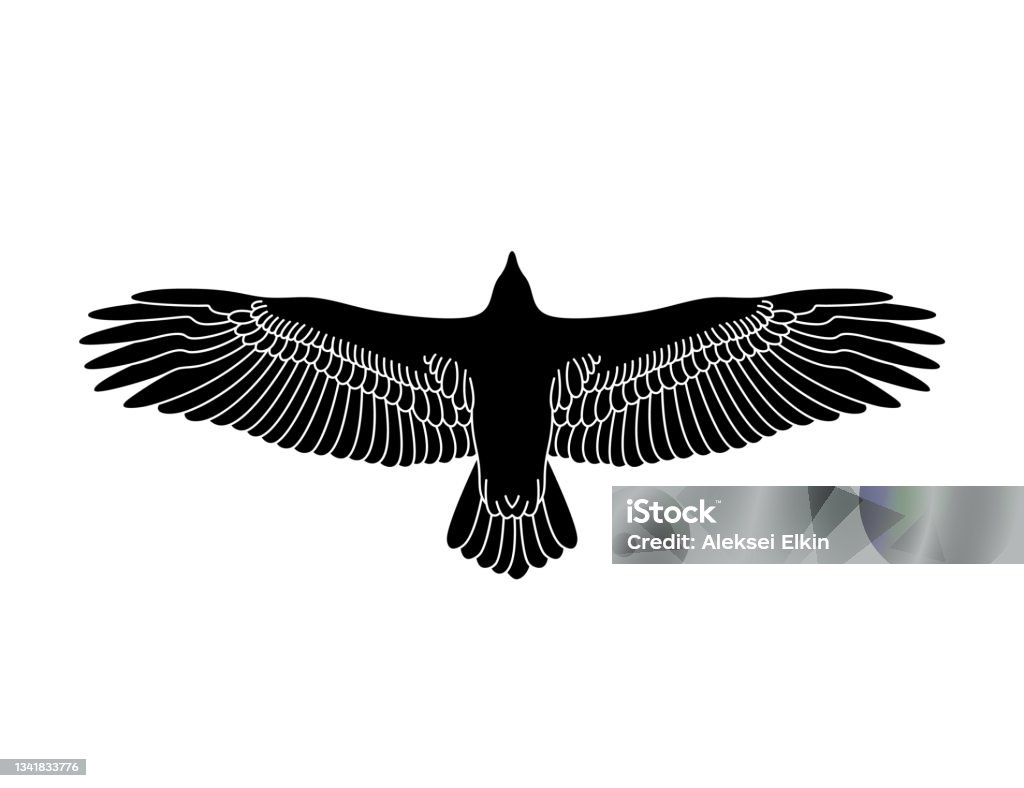 Đại Bàng Bay Stencil Hình Bóng Chim Hình minh họa Sẵn có - Tải ...