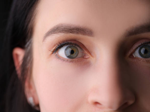 istock Closeup of female eyes with permanent eyebrow makeup and false eyelashes 1341834974