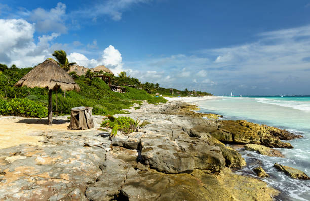 istock Caribbean coast of Mexico 1341836218
