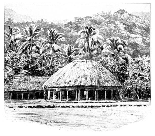 fagaloa liegt an der nordostküste der insel upolu in samo - samoa stock-grafiken, -clipart, -cartoons und -symbole