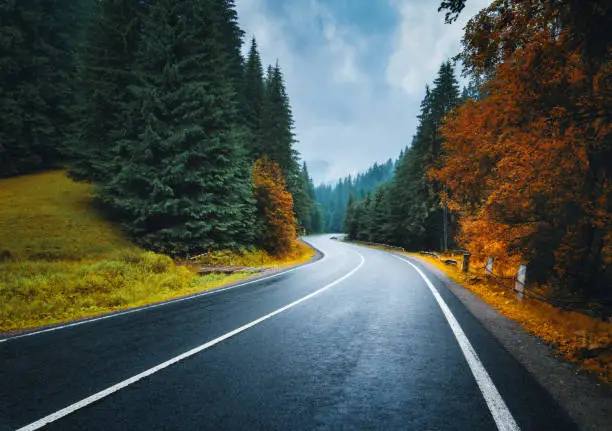 Photo of Road in autumn foggy forest in rainy day. Beautiful mountain roadway, trees with orange foliage in fog and overcast sky. Landscape with empty asphalt road through the woods in fall. Travel. Road trip