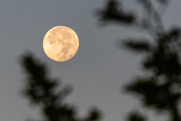 istock full moon in the sky of Provence 1341839087
