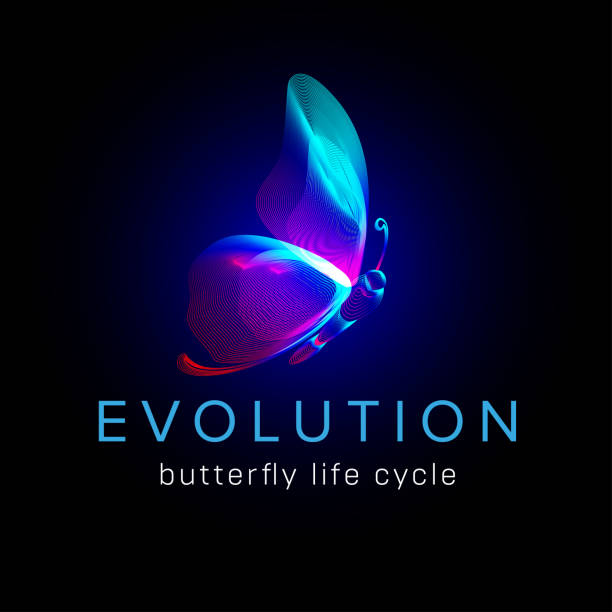 ilustrações, clipart, desenhos animados e ícones de ciclo de vida das borboletas. silhueta de neon de mariposa voadora no estilo de arte da linha 3d. ilustração vetorial de exibição lateral de papilo brilhante isolada em um fundo escuro - butterfly net