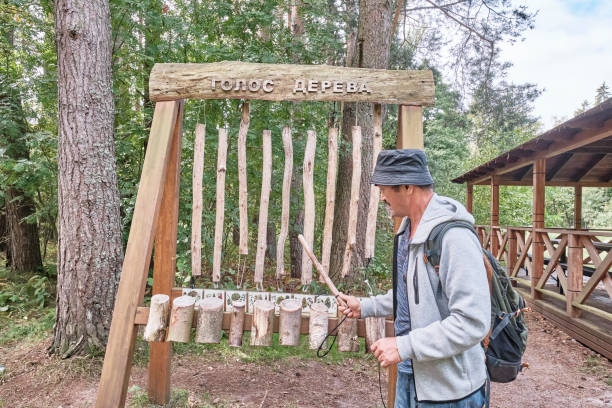 istock Mature man with backpack playing wooden xylophone on ecological trail 1341840290