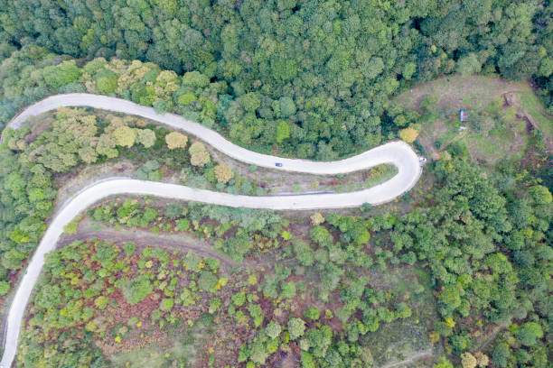 istock Winding Road. Idyllic winding road through forest 1341841718