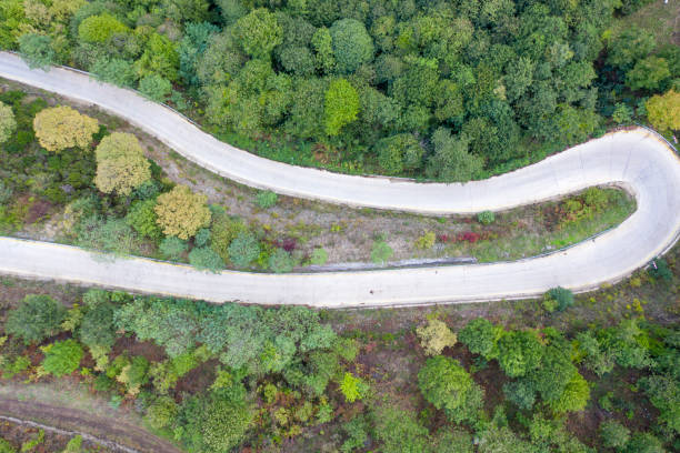 istock Winding Road. Idyllic winding road through forest 1341841719