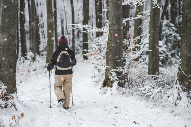 istock Woman hiking in a snowfall 1341844376