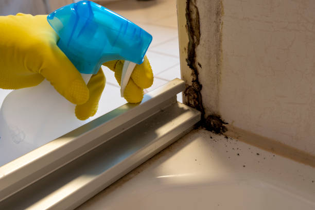 istock dirty tile cleaning and mold removing from grout 1341845106